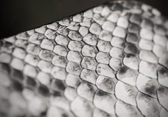 Handmade Leather Boa Skin Tooled Mens billfold Wallet Cool Slim Wallet Biker Wallet for Men - imessengerbags